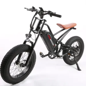 20インチファットタイヤ2輪電動自転車オフロード電動マウンテンバイク1000W750W500W電動自転車