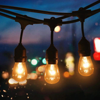 Guirlande lumineuse à LED S14 E27, guirlande d'éclairage rétro, ampoule à Filament Edison, pour jardin, Patio, mariage, vacances
