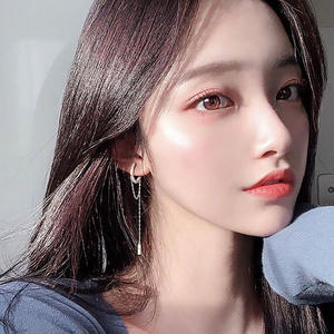 S925 zilveren lange cirkel oorbellen dames Koreaans temperament eenvoudige persoonlijkheid glinsterende diamant kwast oorknopjes dunne oorbellen - Product Image 4