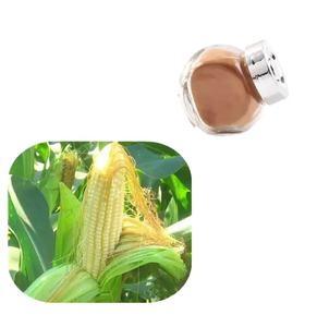 トウモロコシシルクエキスパウダー - Product Image 2