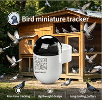 Mini traceur GPS pour oiseaux, conception de bague de patte de 7-10 mm, étanche IP68, autonomie de 30 jours pour pigeons de course