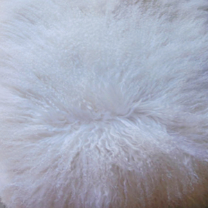 Venta al por mayor <span class=keywords><strong>de</strong></span> piel <span class=keywords><strong>de</strong></span> cordero mongol, piel <span class=keywords><strong>de</strong></span> cabra, <span class=keywords><strong>pelo</strong></span> plateado, placa rizada - Product Image 3