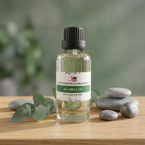 Aceite Esencial de Eucalipto Globulus, Extracto Natural de Plantas para la Producción de Perfumes y Cosméticos, Suministro a Granel - Product Image 2