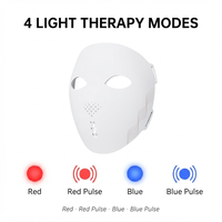 Masque facial professionnel 4D LED en silicone pour photothérapie, appareil de beauté à lumière thérapeutique portable