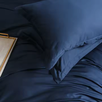 Meilleure vente housse de couette 100% coton ensemble de literie de luxe taie d'oreiller bleu Queen Size ensemble de housse de couette