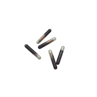 Puce de clé de voiture à distance ID48 Transpondeur de voiture RFID Glass Tag Unlock/Lock Chip pour VW/Audi/Skoda/Seat