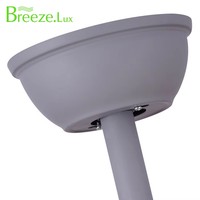 Venta directa de fábrica 55 "5 Abs Blades LED Ventilador de techo Luz Bldc Luz de techo con ventilador y lámpara de ventilador de control remoto para casa