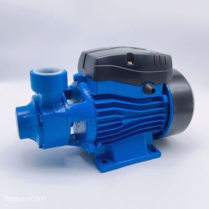 Bombas de Agua Domésticas de Alta Presión QB60, QB70, QB80 de 110v/220v y 60hz, 0.5HP, 0.75HP, 1HP, Bombas de Agua Eléctricas QB60 - Product Image 5