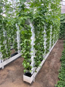 Système hydroponique vertical commercial pour la culture <span class=keywords><strong>de</strong></span> fraises en tour <span class=keywords><strong>de</strong></span> pétales, idéal pour les légumes et les fruits - Product Image 5