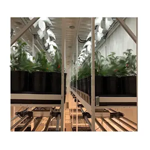 Estante de cultivo móvil Vertical de acero grande personalizado, sistemas hidropónicos, esponja de plástico ABS doble, planta de Metal, modelo agrícola 'ebb'