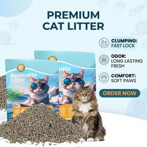Litière pour chat en bentonite sphérique gris-blanc de qualité supérieure, fabrication OEM - Contrôle efficace des odeurs et agglomération rapide - Fourniture en vrac 5kg 10kg - Product Image 1