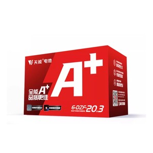 Batería de Plomo-Ácido VRLA Tianneng TNE12-15 TNE12-25 TNEH12-27 TNEP12-28 6-DZF-20 12V48V 12Ah 20Ah 52Ah para Bicicletas Eléctricas y Scooters, OEM CE - Product Image 2