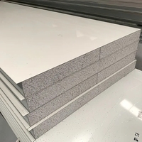 模块化洁净室夹芯板50/100毫米建筑Eps夹芯板预制房屋防火岩棉净化板