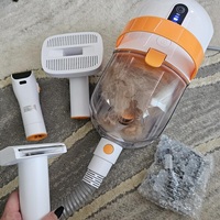 Kit de toilettage professionnel pour chien, aspirateur, peignes, brosse, portable, sûr, 12000Pa, kit d'élimination des poils d'animaux