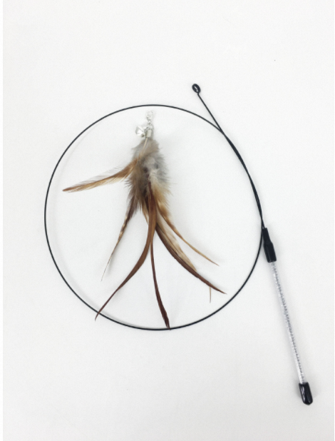 Modèle de poche couleur curry