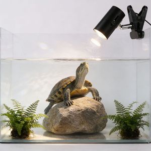 Turtle Basking Lamp Full Spectrum UVA UVB Heat <b>Light</b> Reptile Tank Lighting <b>Timer</b> Function Stainless Steel ABS Material - Product Image 1