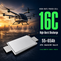TPENERGY 16C High Rate Pouch Cell 55Ah 65Ah Baterai Drone UAV untuk EVTOL FPV Kelas Angkat Berat a Low IR