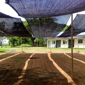 Bandeja de Vivero Ecológica de Alta Calidad, Parasol para Estacionamiento, Red de Balonmano - Product Image 5