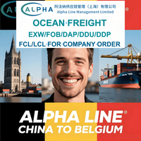 Transitaire maritime Chine-Belgique EXW FOB DDP DAP DDU Agent d'expédition porte-à-porte pour commandes d'entreprise uniquement avec transport par camion