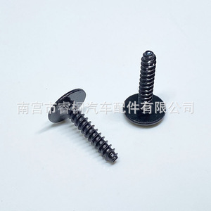 Shuangxuan <b>Black</b> Round Head Phillips <b>Self</b> <b>Tapping</b> <b>Screw</b> 4x20mm Steel For General Use - Product Image 5