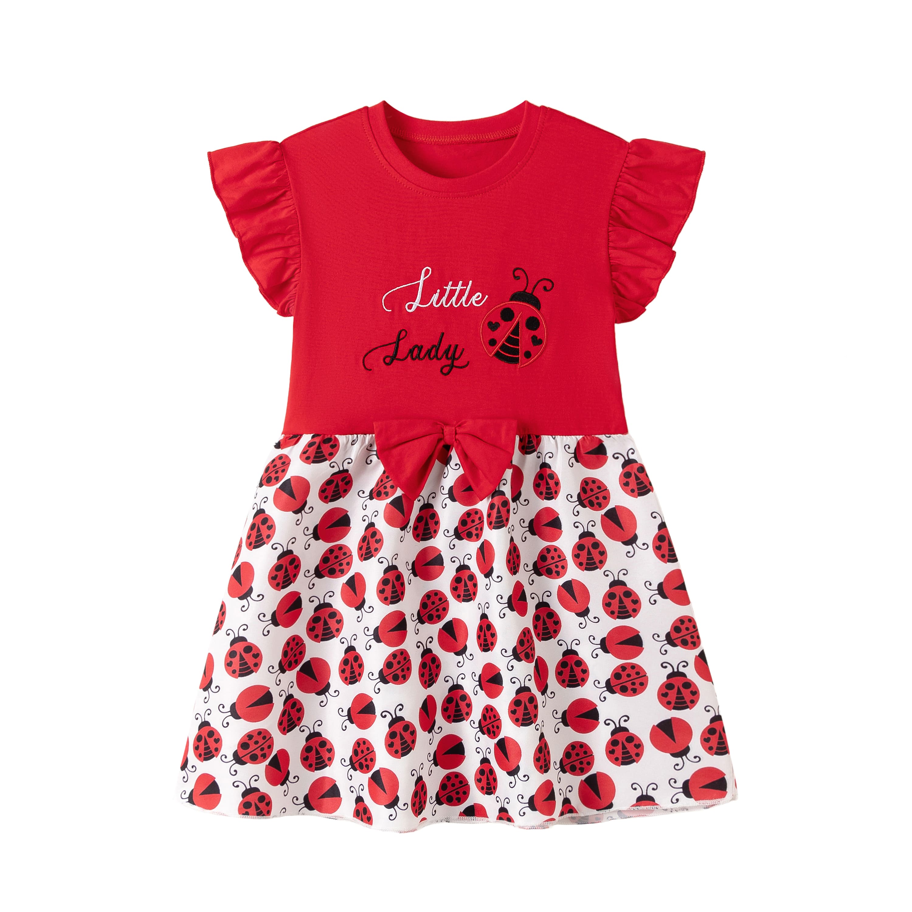 Spettacoli di immagini