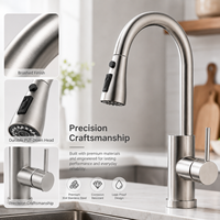 Robinet de cuisine professionnel en acier inoxydable brossé avec douchette extractible et mitigeur monocommande