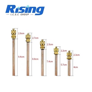 Válvula <span class=keywords><strong>de</strong></span> Servicio Schrader Rising <span class=keywords><strong>R134a</strong></span> 1/4 para HVAC, Válvula <span class=keywords><strong>de</strong></span> Acceso para <span class=keywords><strong>Carga</strong></span> <span class=keywords><strong>de</strong></span> Refrigerante AC, Válvula <span class=keywords><strong>de</strong></span> <span class=keywords><strong>Carga</strong></span> <span class=keywords><strong>de</strong></span> <span class=keywords><strong>Gas</strong></span> para Refrigerador - Product Image 5