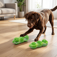 Jouet à mâcher pour chien en TPR durable de haute qualité, nouveau design circulaire, vente en gros du fabricant Famipet, pour le nettoyage des dents des animaux de compagnie