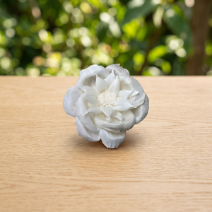 Wholesale Thailand Sola Wood Environmental Friendly White Decorative Flowers Artificial Materials Dry <b>Reed</b> <b>Diffuser</b> Indoor Use - Product Image 2