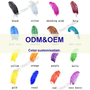 35-40Cm Đầy Màu Sắc Màu Đỏ Lông Số Lượng Lớn Nhuộm Dài Lớn Màu Trắng Tự Nhiên Bất Đà Điểu Lông Cho DIY Craft Đảng Lễ Hội Trang Phục - Product Image 6