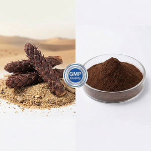 ผงสกัดสมุนไพรธรรมชาติ ซินโนโมเรียม ซองกาเริคัม เกรดอาหารเพื่อสุขภาพ อัตราส่วน 10:1-50:1  ผลิตจากพืชปลูกในร่ม - Product Image 1