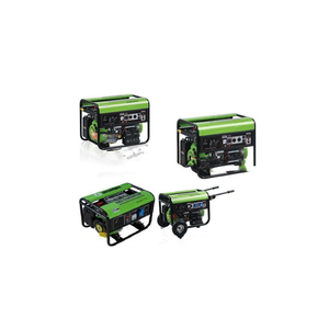 큰 할인 가정용 고품질 바이오 가스 발생기 3kw 바이오 아그 발생기 - Product Image 1