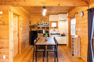 Maison préfabriquée modulaire de luxe 45 m² avec <span class=keywords><strong>grenier</strong></span>, aménagement personnalisable, construction en bois massif, design moderne, <span class=keywords><strong>polyuréthane</strong></span>, chevrons - Product Image 4