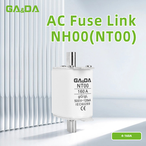 Fusibile GADA HRC NT00 NH00 ad Alta Capacità di Interruzione 120kA 500VAC con Certificazione CE - Product Image 2