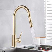 Robinet de cuisine en acier inoxydable économique avec douchette extractible, mélangeur pour évier, robinets de cuisine modernes, eau chaude et froide