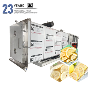 เครื่องเป่าแช่แข็งสุญญากาศเครื่องอบแห้งแช่แข็งผักและผลไม้ - Product Image 1