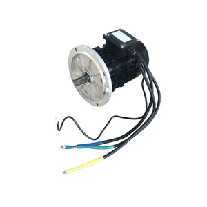 BLDC Motor 36V 2.0KW 1500RPM Brushless DC Motor For DC Hydraulic Pump