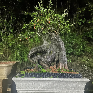 แม่พิมพ์คอนกรีตไฟเบอร์กลาสสำเร็จรูปทรงสี่เหลี่ยมผืนผ้าขนาดใหญ่สำหรับปลูกต้นไม้กลางแจ้งรุ่น reazone RZR แข็งแรงติดตั้งเหล็กเส้น - Product Image 1