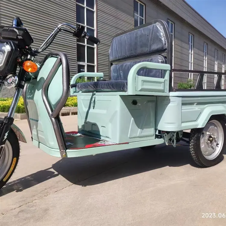 La Chine fabricant électrique Cargo tricycle à piles Cargo Bike 3 roues