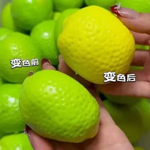 Balle anti-stress créative en plastique citron changeant de couleur, faite à la main, sonore et crépitante, pour soulager l'anxiété et la décompression - Product Image 4