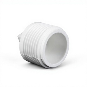 Bouchon mâle fileté hexagonal en <span class=keywords><strong>PPR</strong></span> PVC PN25 20mm 25mm 1 2 3 4 pouces, raccord de tuyauterie à souder pour l'alimentation en eau - Product Image 2