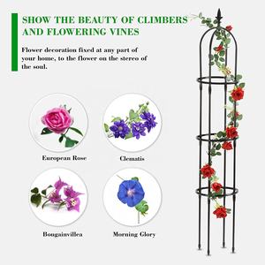 Enrejados de arco de jardín de plantas de escalada recubiertas de plástico, obelisco redondo de Metal, gran oferta, <span class=keywords><strong>2022</strong></span> - Product Image 2