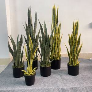 Planta Artificial <span class=keywords><strong>de</strong></span> Serpiente, Bonsái <span class=keywords><strong>de</strong></span> Plástico, Simulación <span class=keywords><strong>de</strong></span> Planta Verde, Bonsái <span class=keywords><strong>de</strong></span> Planta Serpiente, <span class=keywords><strong>Sansevieria</strong></span>, <span class=keywords><strong>Hoja</strong></span> <span class=keywords><strong>de</strong></span> Plástico Verde para Decoración del Hogar - Product Image 5