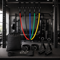 Set de Bandas de Resistencia para Entrenamiento, 11 Piezas, Bandas Elásticas de TPE con Agarraderas y Anclaje para Puerta, para Entrenamiento de Cuerpo Completo en Casa, Venta al Por Mayor