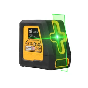 Mini niveau Laser à faisceau vert à 2 lignes niveau Laser à nivellement automatique avec sac de transport