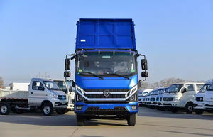 Camion à benne basculante Kama de haute qualité et bon marché, diesel Euro 6, neuf, 4x2, 1-7T, avec direction à gauche, siège simple rangée, caméra arrière - Product Image 3