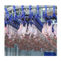 KBT Qualité garantie Chaud en Afrique plumeur de plumes de poulet poulet canard oie équipement d'abattoir