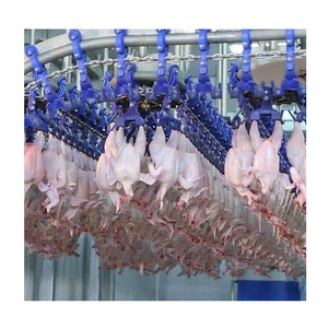 <span class=keywords><strong>KBT</strong></span> Qualité garantie Chaud en Afrique plumeur de plumes de poulet poulet canard oie équipement d'abattoir - Product Image 6
