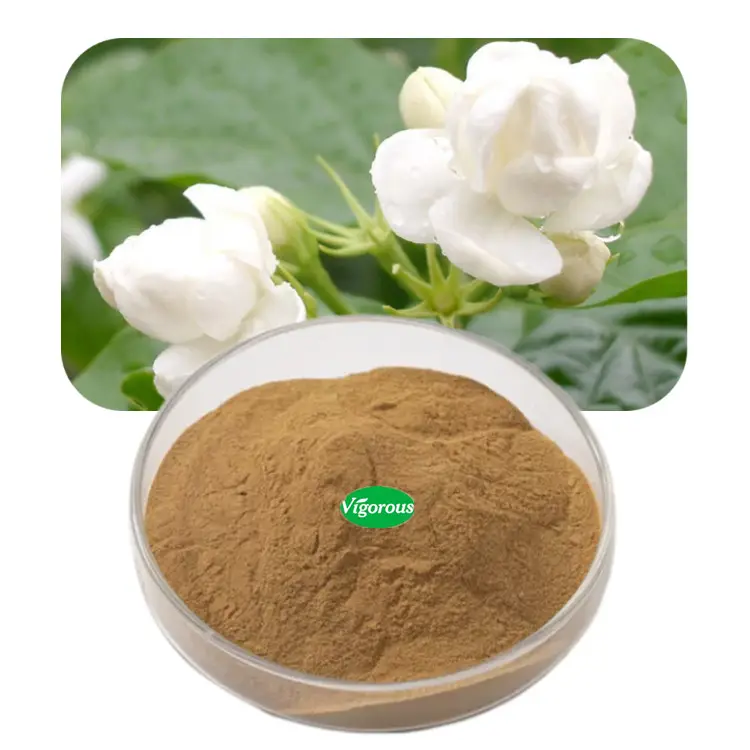 Murni alami gratis sampel 10:1 Jasminum Officinale bubuk produk kesehatan sari bunga melati