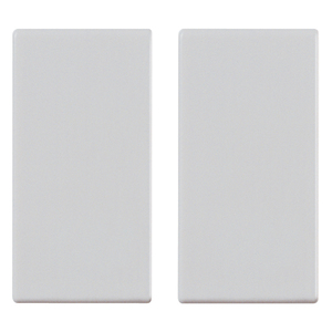 Bouton radiofréquence argenté, 2 pièces, 4,48 pouces de longueur, 0,75 pouces de hauteur, appareil électroménager intelligent - Product Image 1